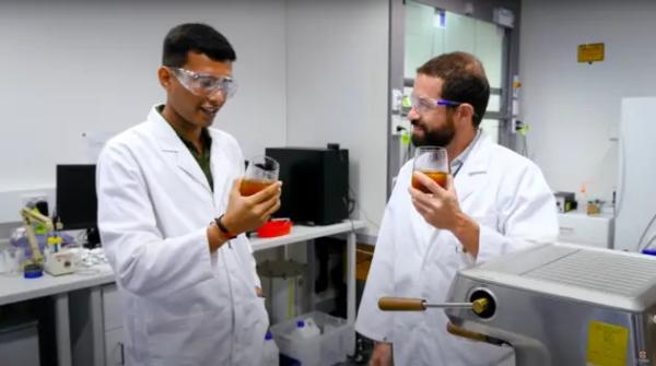 Вчені знайшли продукт, здатний зменшити ризики від сидячої роботи Вчені знайшли продукт, здатний зменшити ризики від сидячої роботи