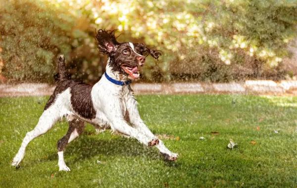 Аномальна спека цього року була б «практично неможлива» без глобального потепління Аномальна спека цього року була б «практично неможлива» без глобального потепління