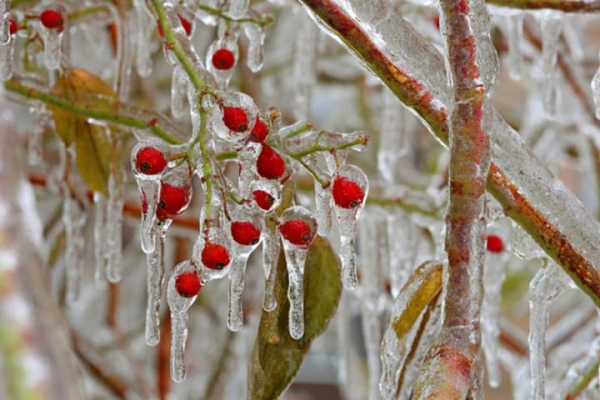 Синоптики дали прогноз погоди на три дні: чи підуть в Україні морози на спад