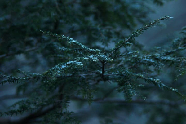 Місцями до -30°: в Україну насуваються сильні морози