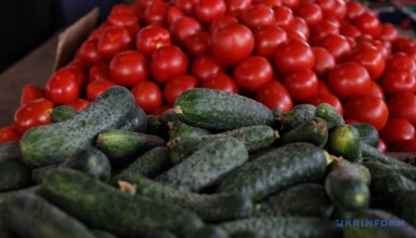 В Україні зросли ціни на огірки й томати з теплиць
