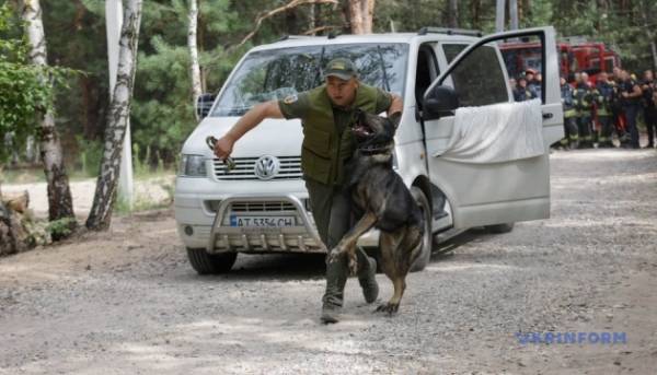 Правоохоронні органи здійснили спільні тренування на Київщині