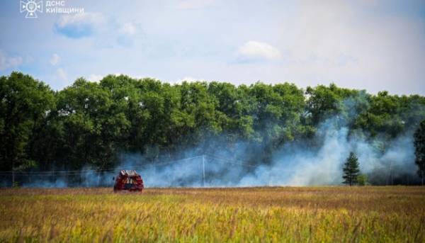 У Чорнобильській зоні вдалося загасити лісову пожежу