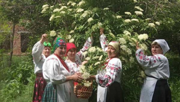 На городі бузок — на столі бузинене варення.