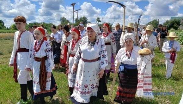«Зажинки»: перші зібрані колоски залишили для різдвяного дідуха